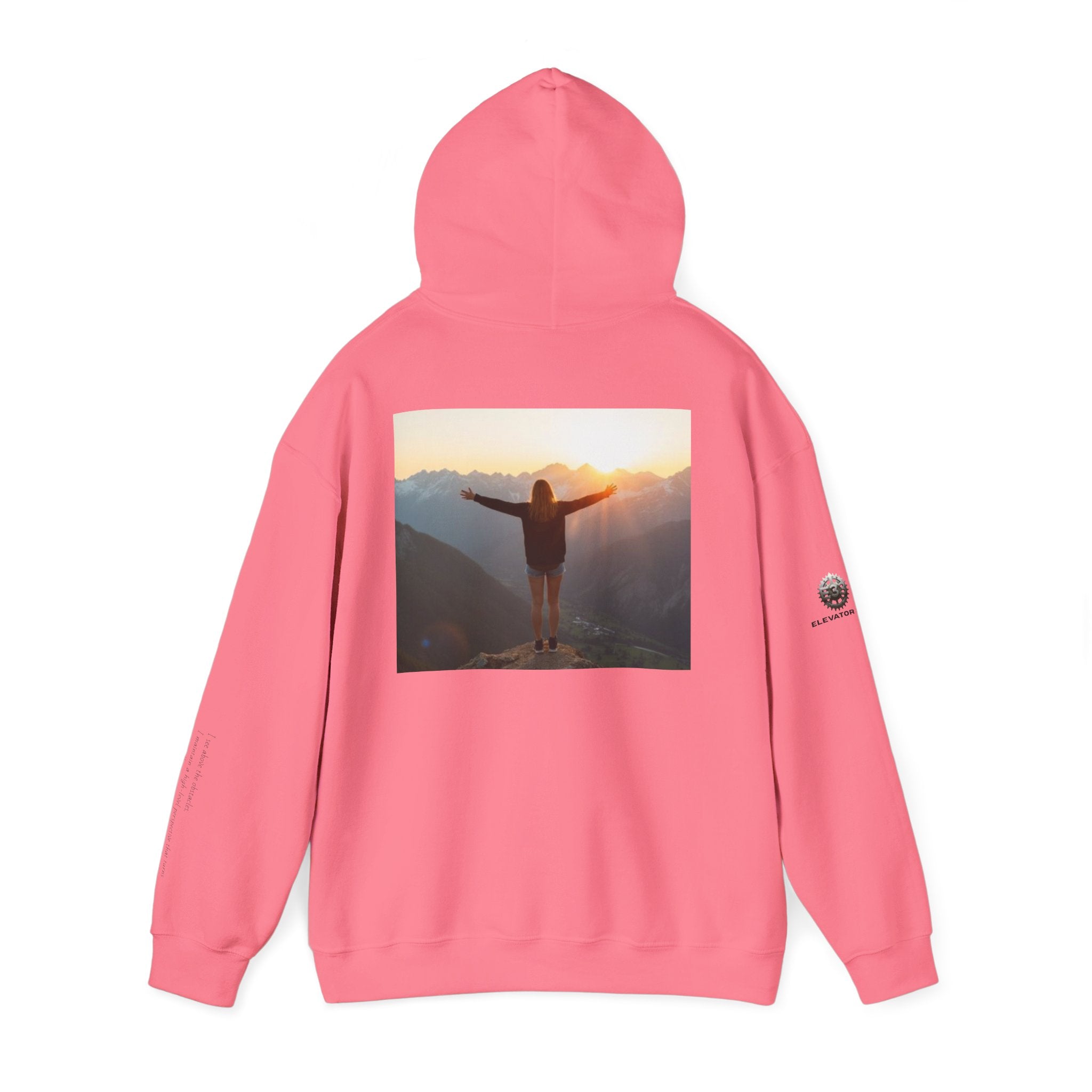 “View Point” Hoodie- Sleeve Print Affirmation