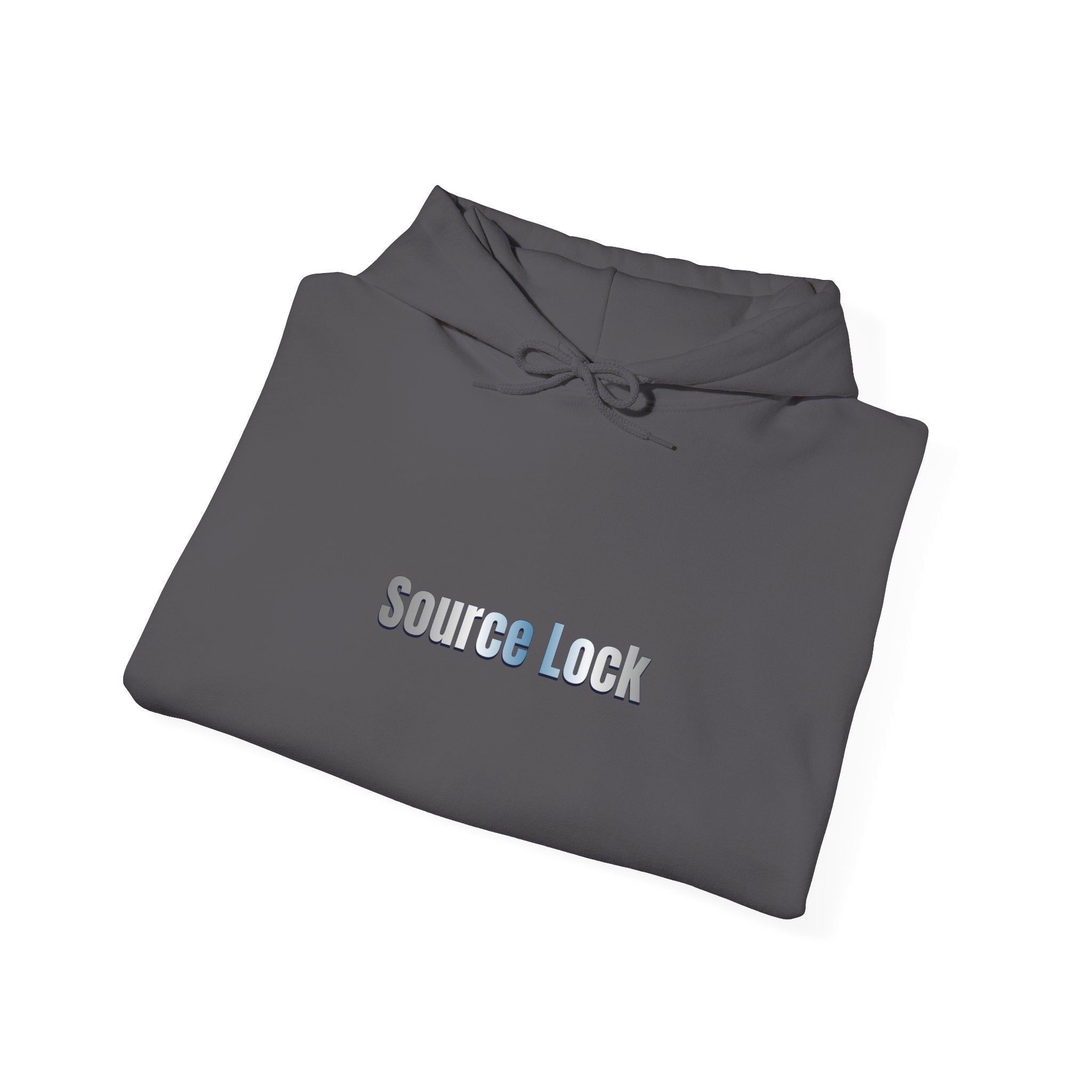 “Source Lock” Hoodie Sweatshirt- Sleeve Print Affirmation