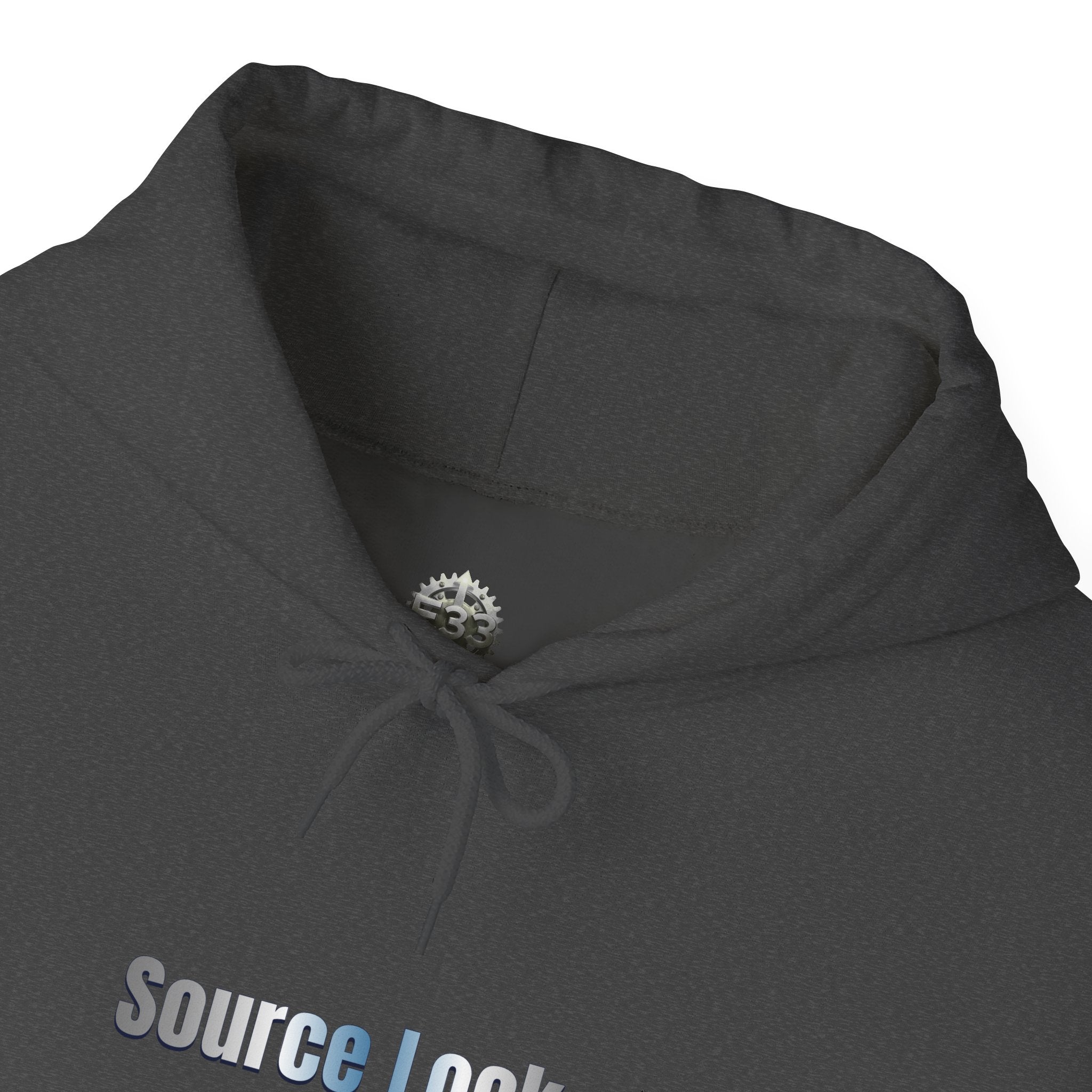 “Source Lock” Hoodie Sweatshirt- Sleeve Print Affirmation