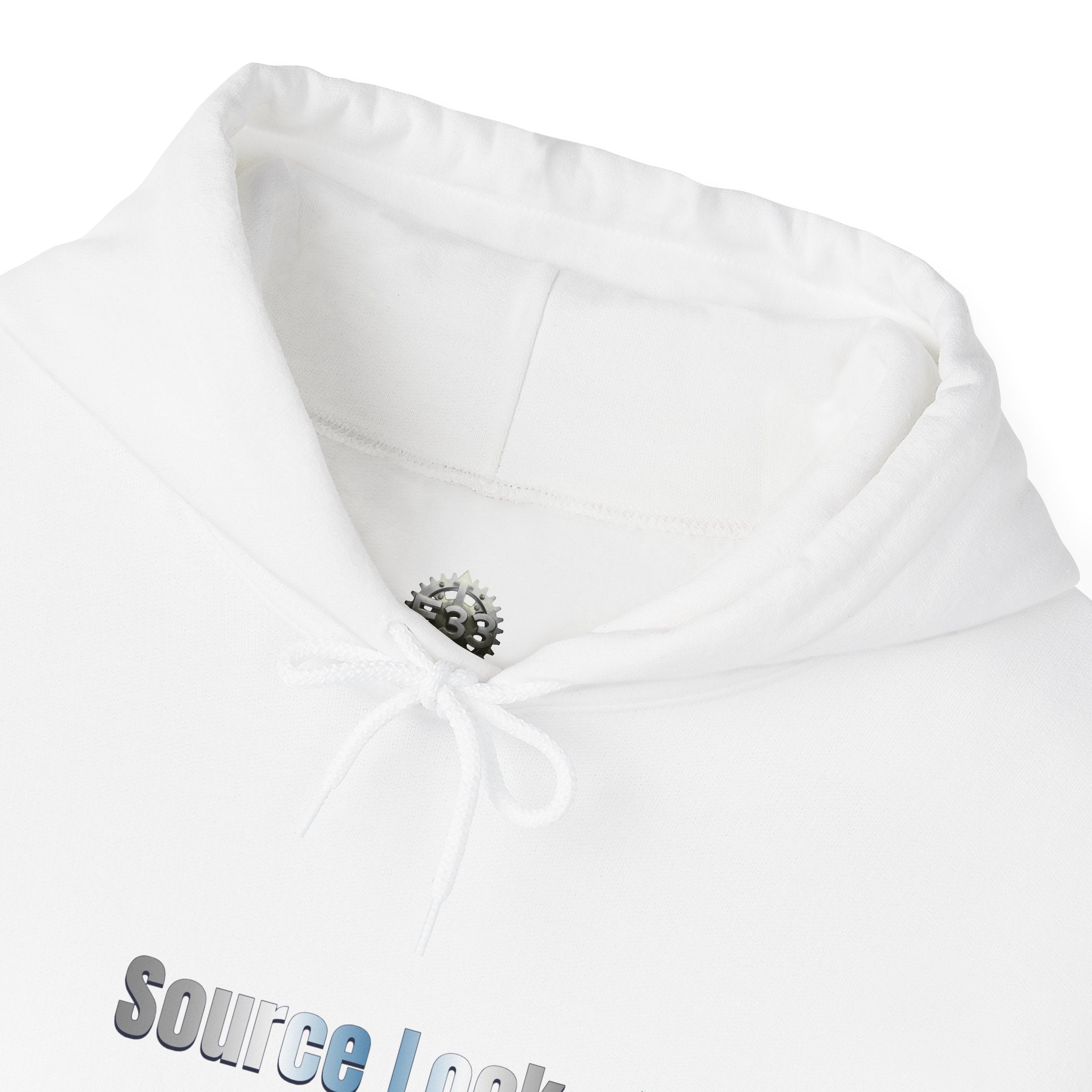 “Source Lock” Hoodie Sweatshirt- Sleeve Print Affirmation