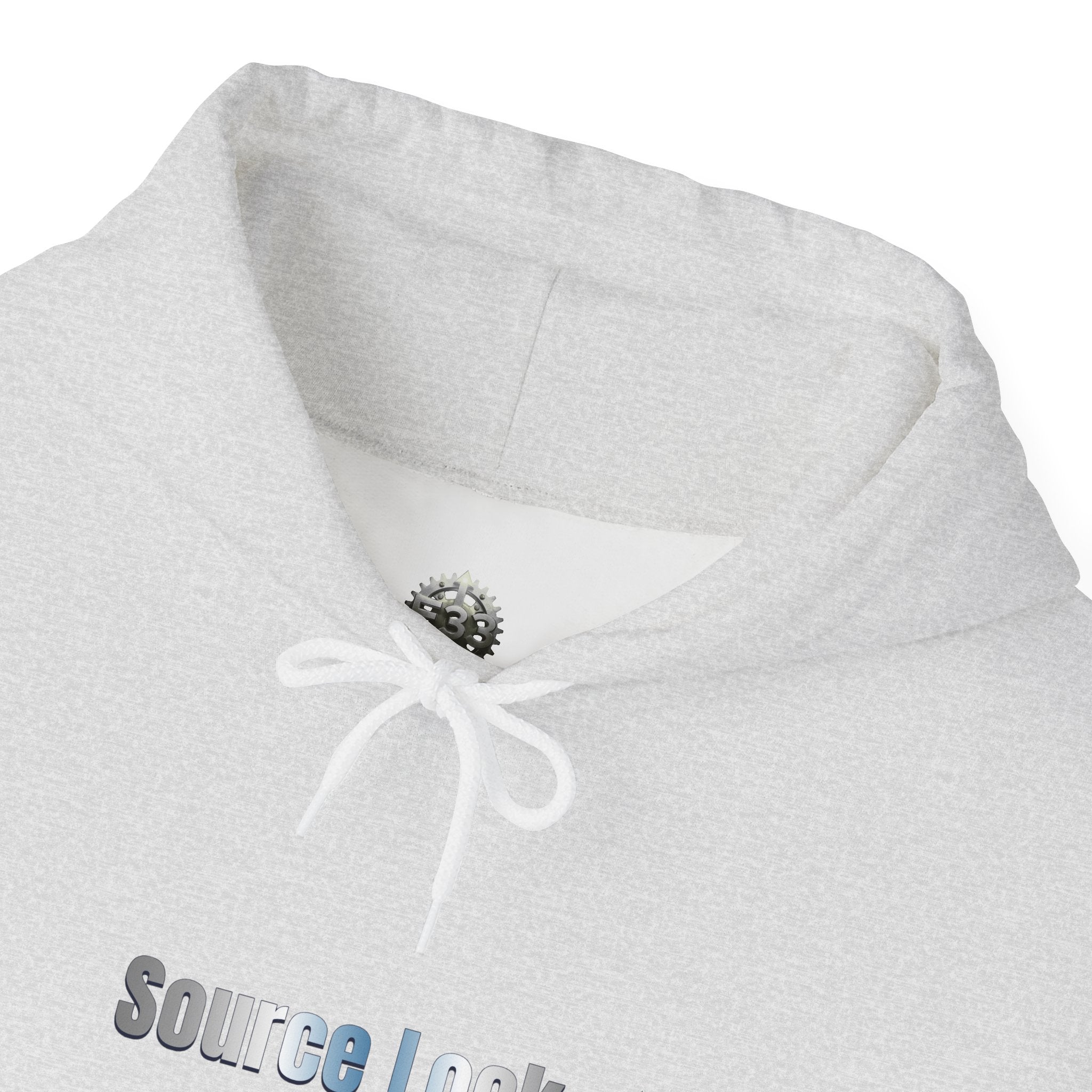 “Source Lock” Hoodie Sweatshirt- Sleeve Print Affirmation