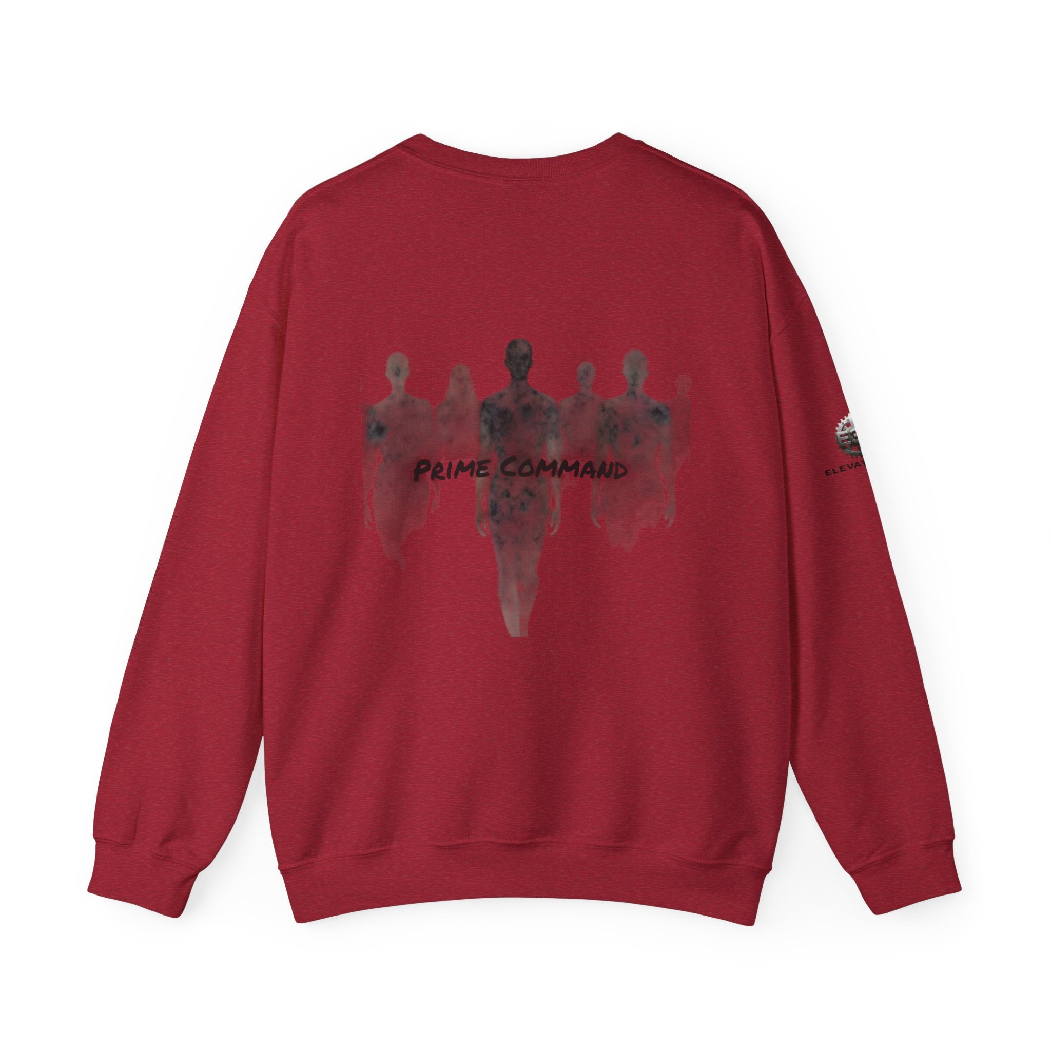 “Prime Command” Hoodie- Sleeve Print Affirmation
