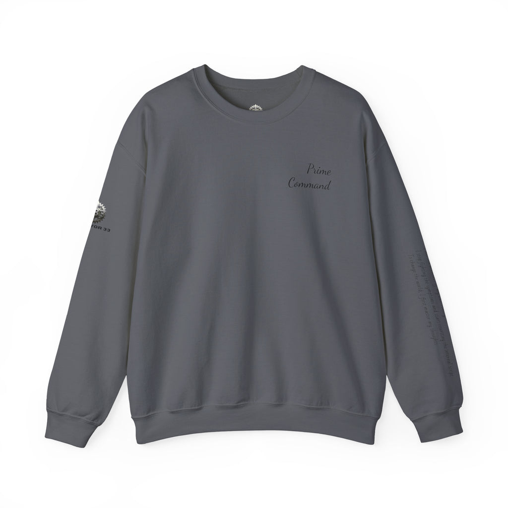 “Prime Command” Hoodie- Sleeve Print Affirmation