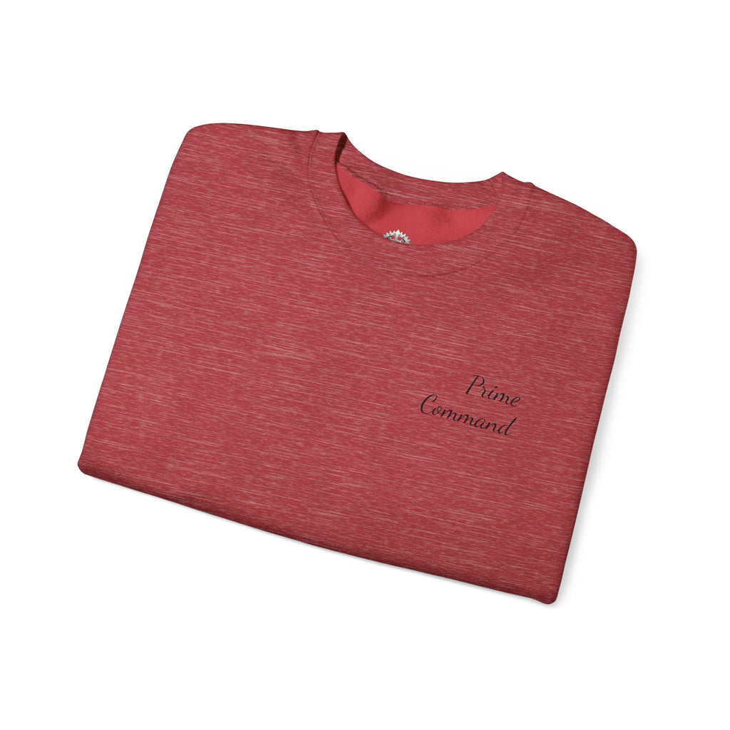 “Prime Command” Hoodie- Sleeve Print Affirmation