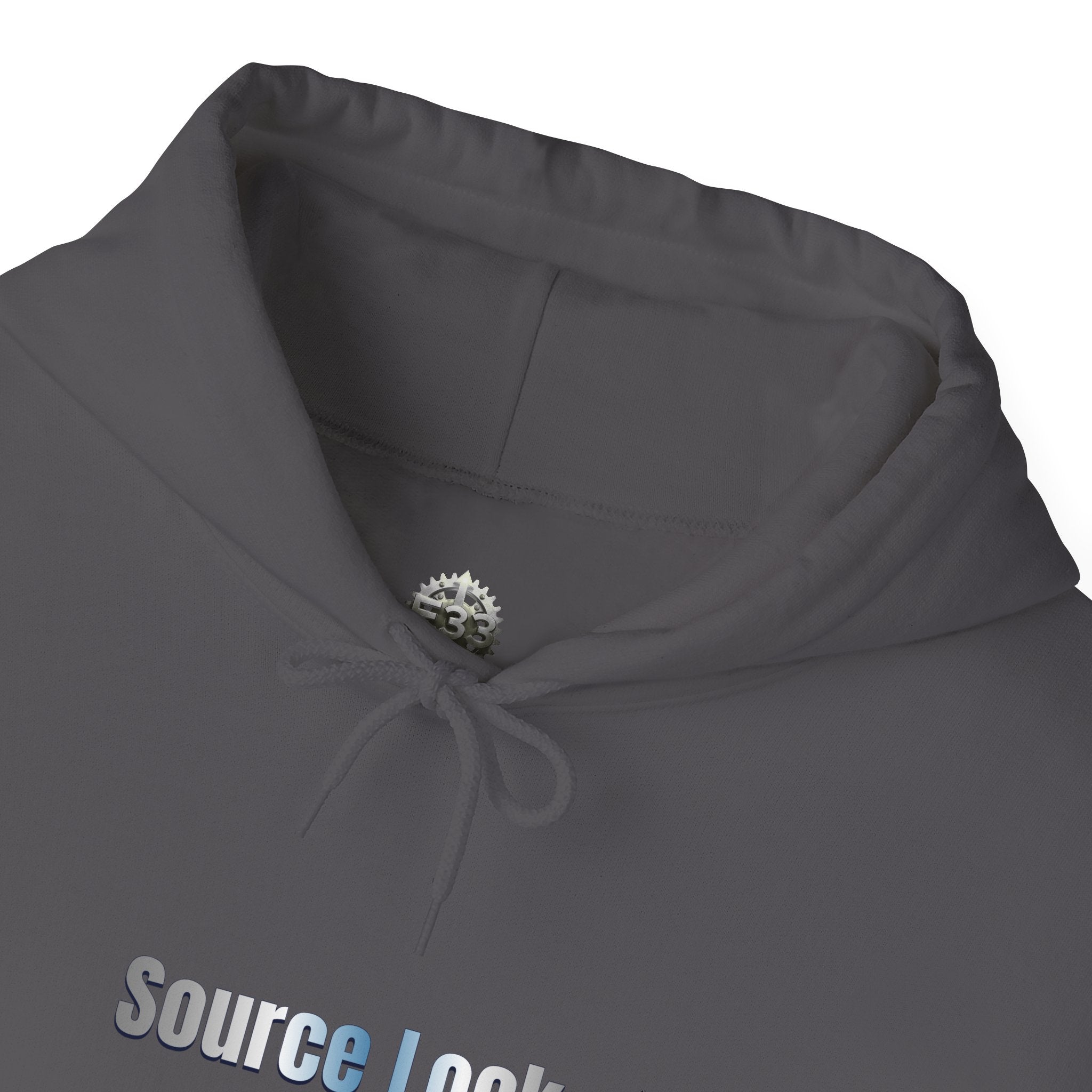 “Source Lock” Hoodie Sweatshirt- Sleeve Print Affirmation