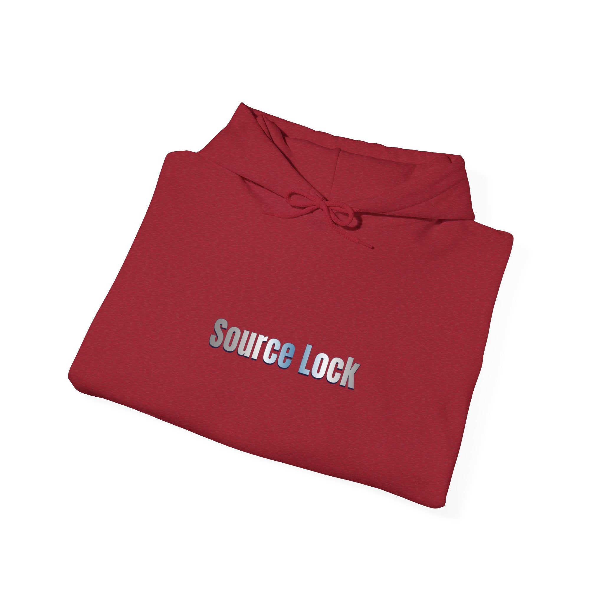 “Source Lock” Hoodie Sweatshirt- Sleeve Print Affirmation