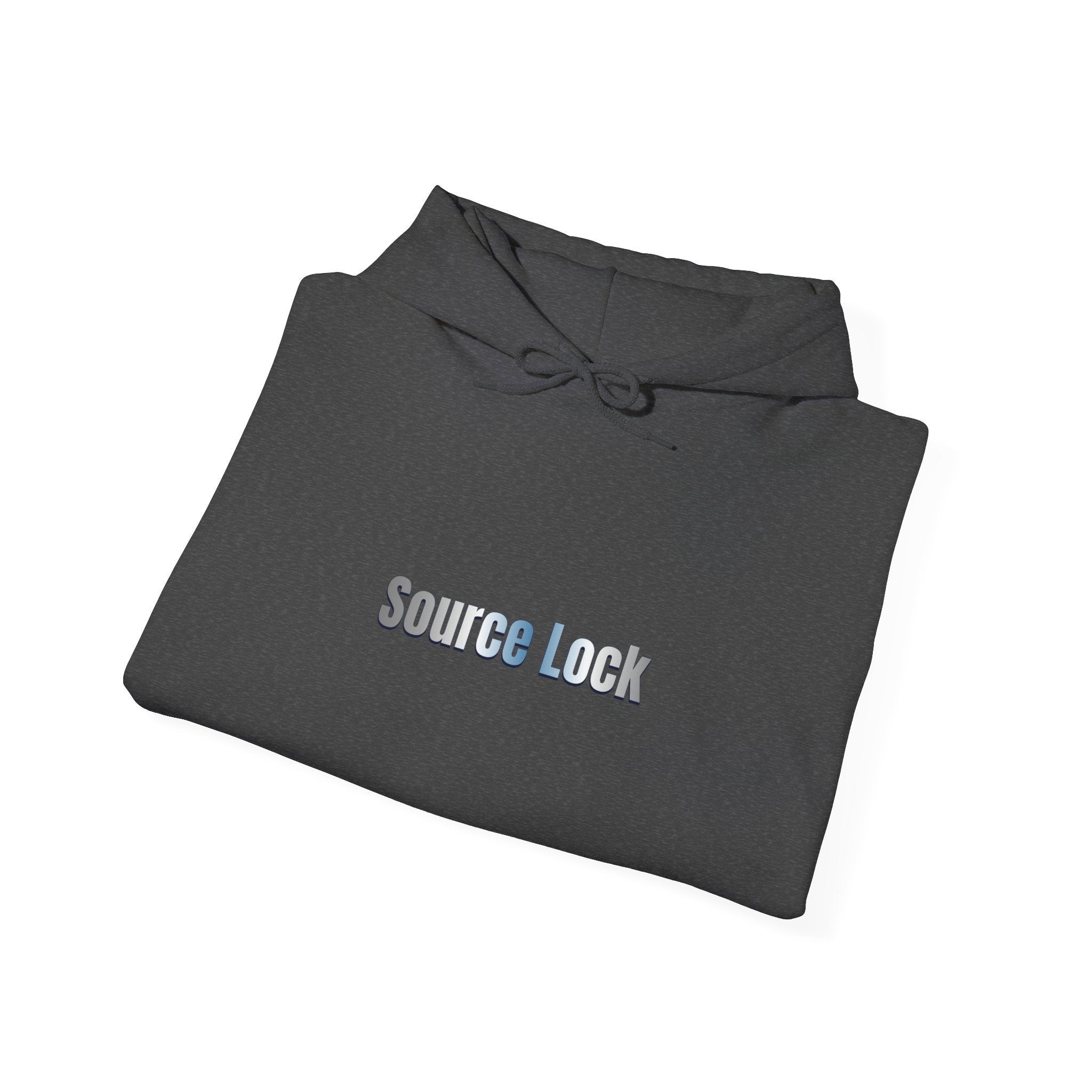 “Source Lock” Hoodie Sweatshirt- Sleeve Print Affirmation