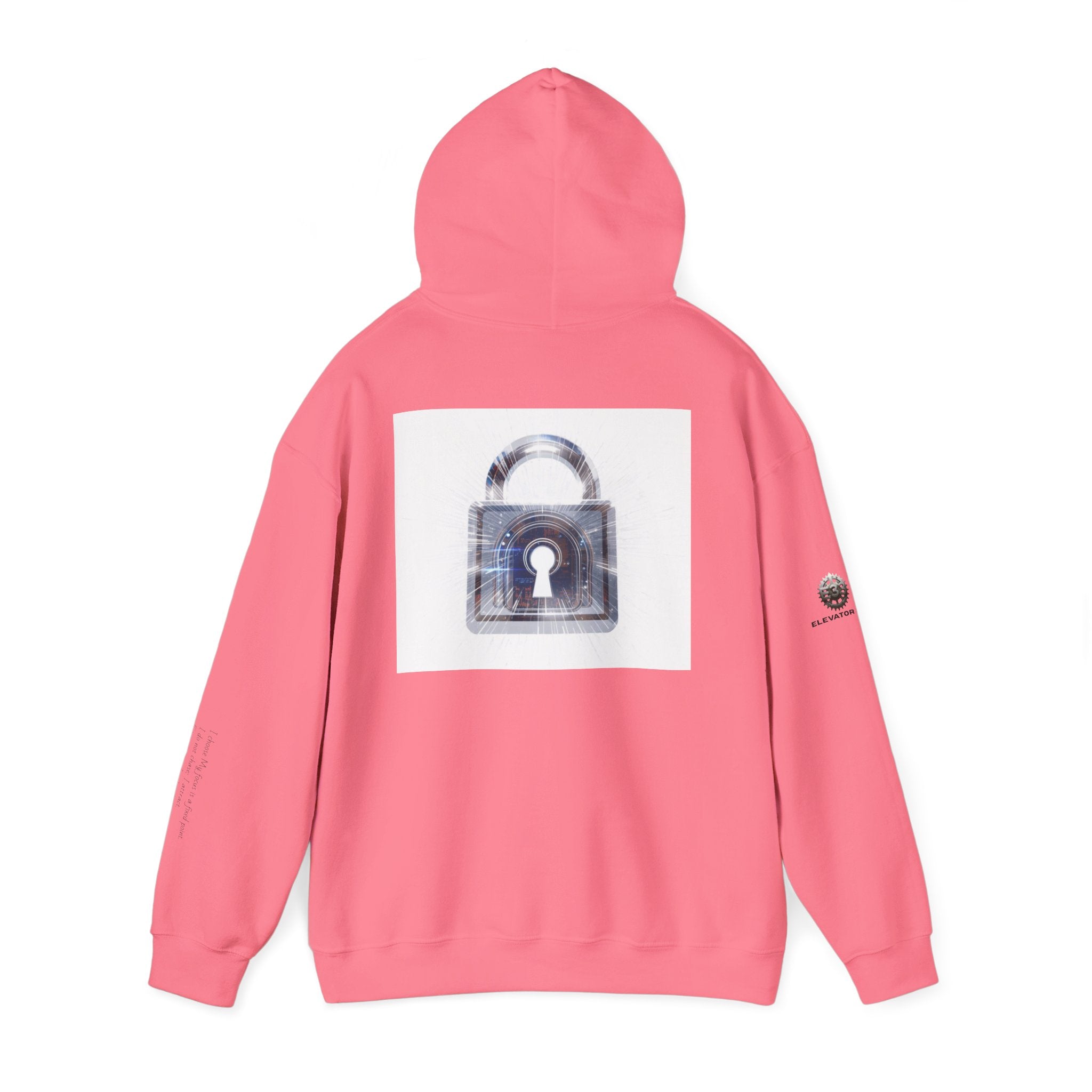 “Source Lock” Hoodie Sweatshirt- Sleeve Print Affirmation