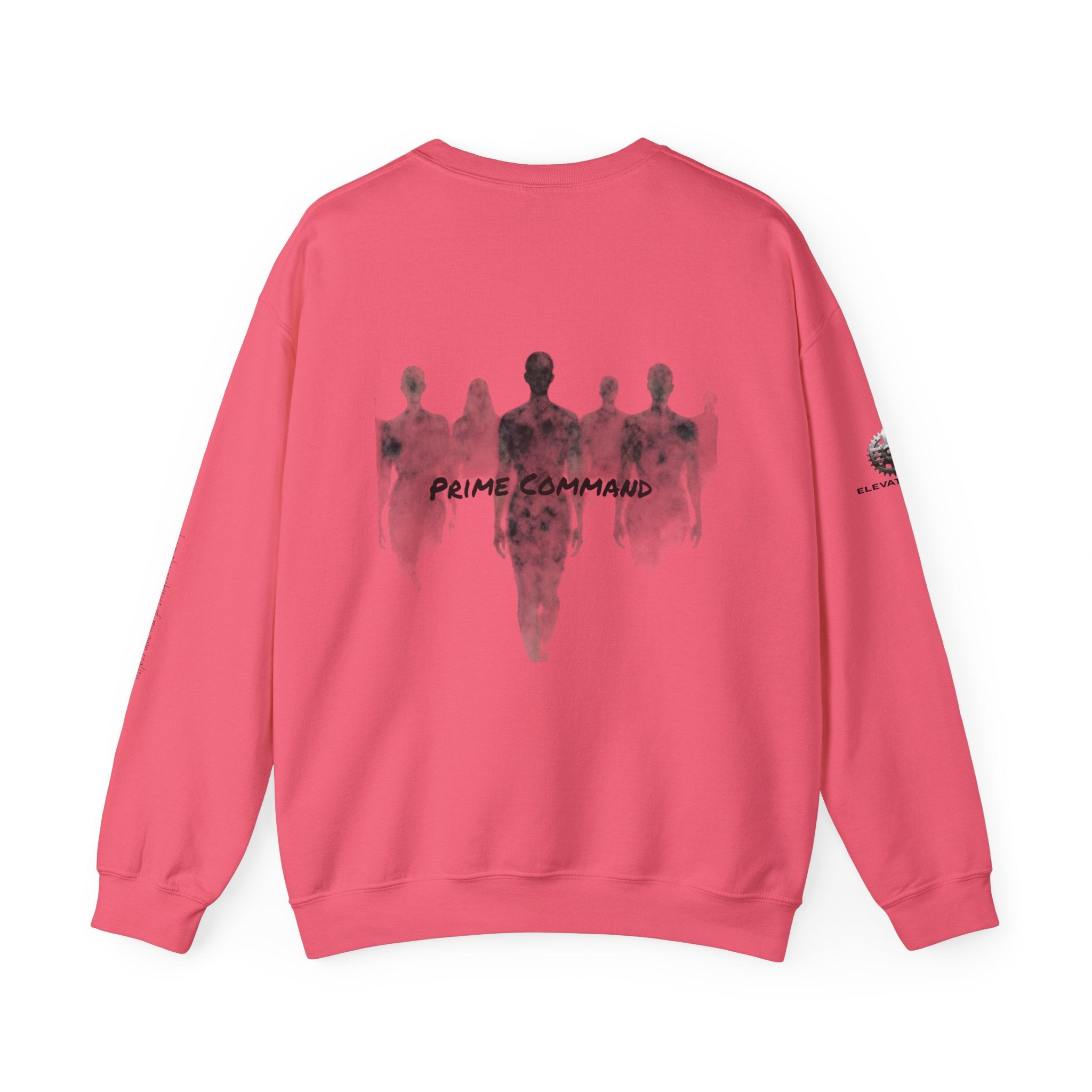 “Prime Command” Hoodie- Sleeve Print Affirmation