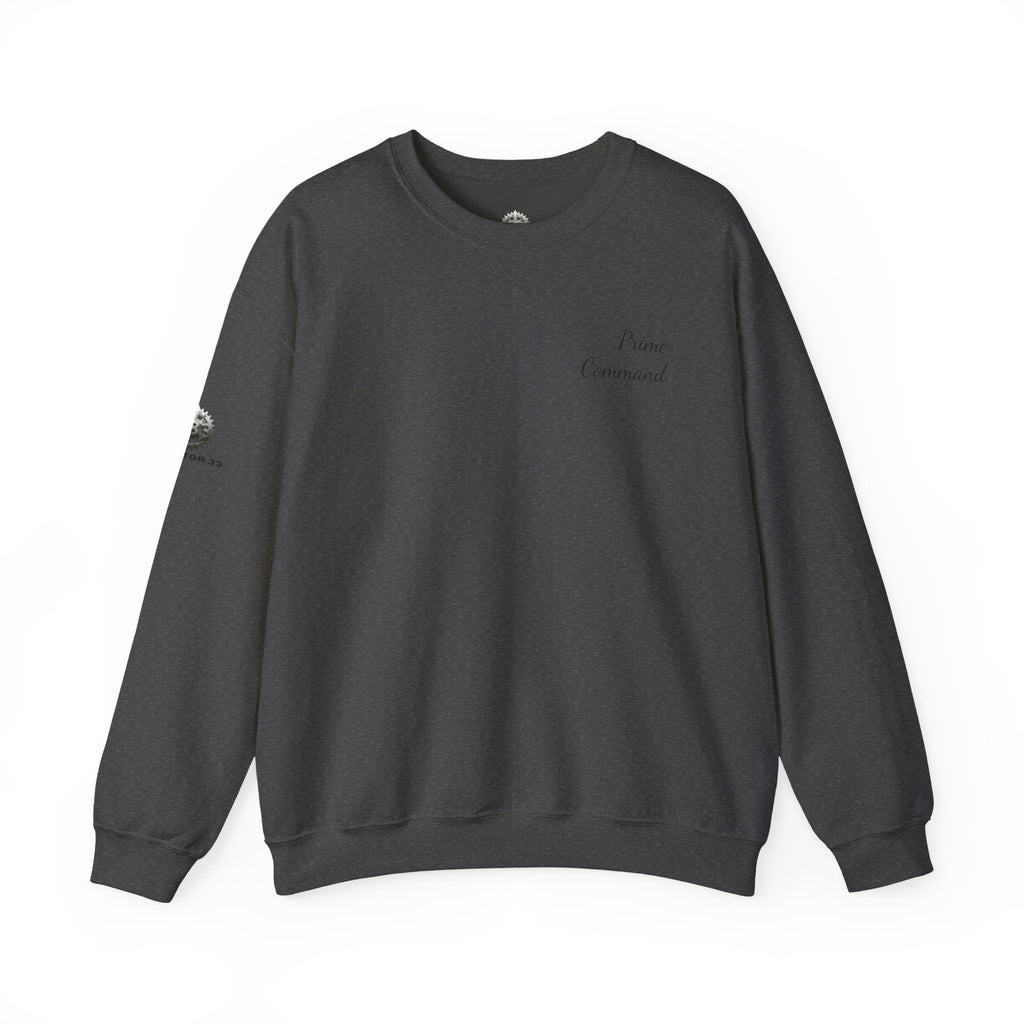 “Prime Command” Hoodie- Sleeve Print Affirmation
